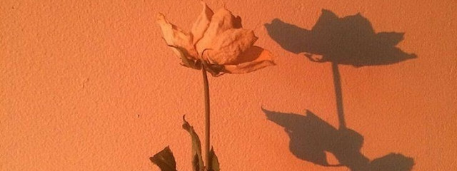 澪 華 .さんの壁紙画像