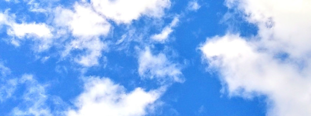 mioさんの壁紙画像