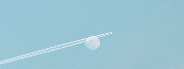 ささみさんの壁紙画像