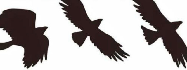 北国ʚ❄︎ɞさんの壁紙画像