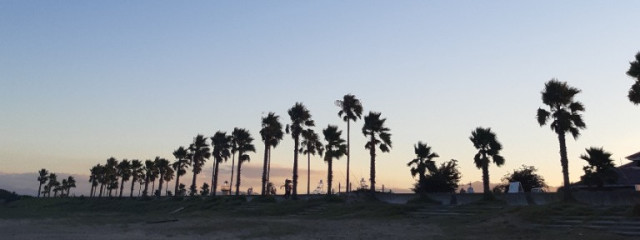 てぃさんの壁紙画像