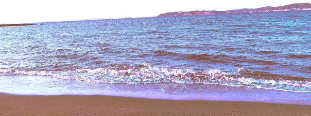 ○*Flower ~*。さんの壁紙画像