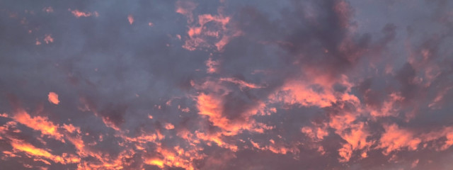 sona🕊さんの壁紙画像