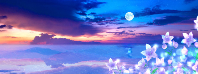 彼岸桜🌸💫🌹さんの壁紙画像