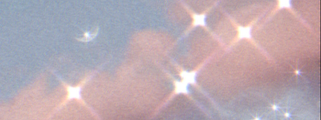 𝐌𝐢𝐜𝐡𝐢𝐞𝐝𝐚さんの壁紙画像