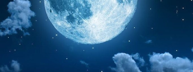 ˙˚ʚLilyɞ˚˙さんの壁紙画像