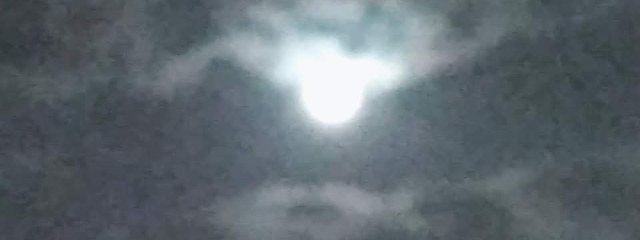 ﾋﾅさんの壁紙画像