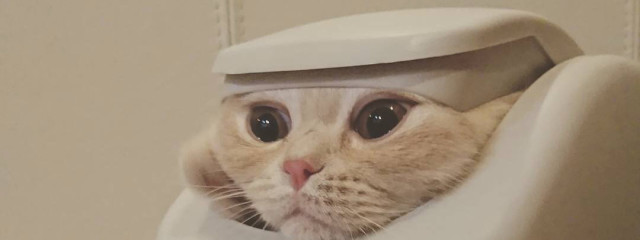 ＿ｱﾐ。🍼♡さんの壁紙画像