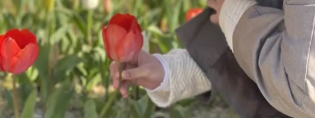 あず𓂃𓈒𓏸🥀さんの壁紙画像