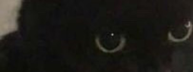 ﾙ ﾙ さんの壁紙画像